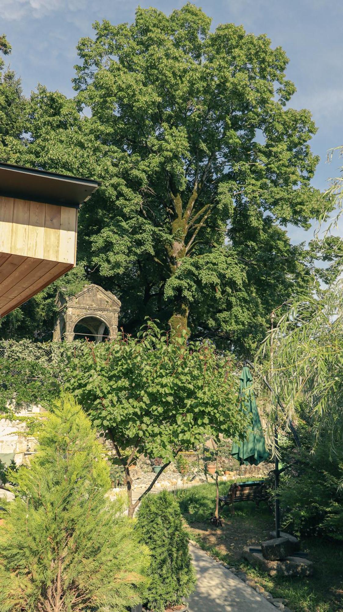 Garden Rooms In Kutaisi Eksteriør bilde